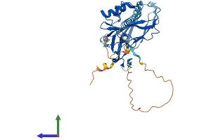 AlphaFold protein structure predicition of Human Recombinant CGRRF1 Protein, UniprotID Q99675