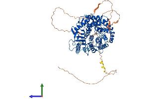 AlphaFold protein structure predicition of Human Recombinant MAN1B1 Protein, UniprotID Q9UKM7