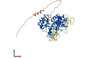 AlphaFold protein structure predicition of Human Recombinant LGSN Protein, UniprotID Q5TDP6