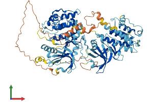 AlphaFold protein structure predicition of Mouse Recombinant Rps6ka3 Protein, UniprotID P18654