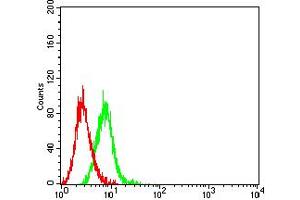 Flow cytometric analysis of Ramos cells using CD154 mouse mAb (green) and negative control (red). (CD40 Ligand anticorps  (AA 47-261))
