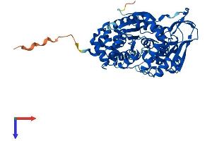 AlphaFold protein structure predicition of Mouse Recombinant Tymp Protein, UniprotID Q99N42