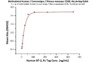 Immobilized Biotinylated Human / Cynomolgus / Rhesus macaque CD28, His,Avitag (ABIN6972981) at 1 μg/mL (100 μL/well) on Streptavidin  precoated (0.