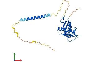 AlphaFold protein structure predicition of Mouse Recombinant Klrb1c Protein, UniprotID P27814 (NK-1.1/CD161c Protein (AA 1-223) (His tag))