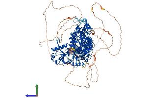 AlphaFold protein structure predicition of Human Recombinant SEC24A Protein, UniprotID O95486