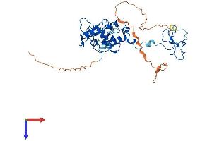 AlphaFold protein structure predicition of Human Recombinant PHF7 Protein, UniprotID Q9BWX1