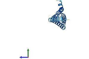 AlphaFold protein structure predicition of Mouse Recombinant Alox5ap Protein, UniprotID P30355
