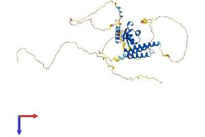 AlphaFold protein structure predicition of Mouse Recombinant Cpsf7 Protein, UniprotID Q8BTV2