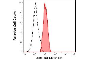 Separation of rat CD28 positive splenocytes (red-filled) from CD28 negative splenocytes (black-dashed) in flow cytometry analysis (surface staining) of murine splenocyte suspension stained using anti-rat CD28 (JJ319) PE antibody (concentration in sample 0,56 μg/mL).