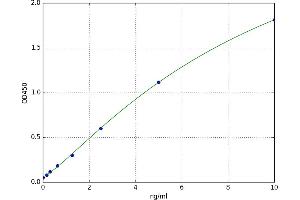 A typical standard curve