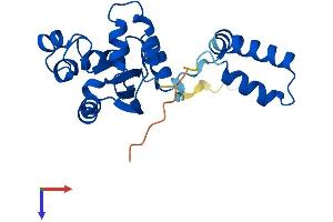 AlphaFold protein structure predicition of Mouse Recombinant Nme5 Protein, UniprotID Q99MH5