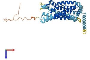 AlphaFold protein structure predicition of Mouse Recombinant Ccr9 Protein, UniprotID Q9WUT7
