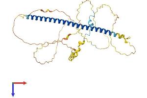 AlphaFold protein structure predicition of Human Recombinant ATF4 Protein, UniprotID P18848