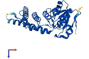 AlphaFold protein structure predicition of Human Recombinant ENOPH1 Protein, UniprotID Q9UHY7