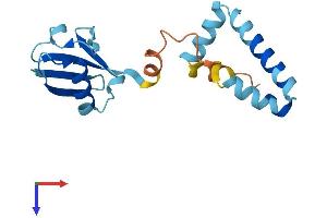 AlphaFold protein structure predicition of Human Recombinant UBL4A Protein, UniprotID P11441