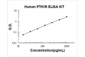 Parathyroid Hormone 1 Receptor (PTH1R) ELISA Kit