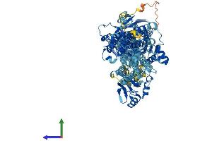 AlphaFold protein structure predicition of Mouse Recombinant Atp2a2 Protein, UniprotID O55143
