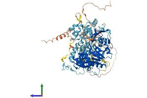 AlphaFold protein structure predicition of Mouse Recombinant Ercc3 Protein, UniprotID P49135