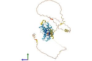 AlphaFold protein structure predicition of Mouse Recombinant Ankrd63 Protein, UniprotID A2ARS0