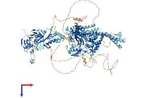 AlphaFold protein structure predicition of Mouse Recombinant Top2a Protein, UniprotID Q01320