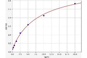 Typical standard curve (Ketohexokinase Kit ELISA)