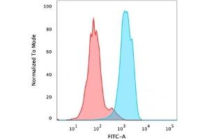 Flow Cytometric Analysis of PFA-fixed MCF-7 cells using FOXA1 Mouse Monoclonal Antibody (FOXA1/1512) followed by goat anti-mouse IgG-CF488 (Blue), Isotype Control (Red). (FOXA1 anticorps  (AA 372-472))