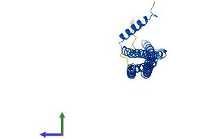 AlphaFold protein structure predicition of Mouse Recombinant Bin3 Protein, UniprotID Q9JI08