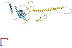 AlphaFold protein structure predicition of Human Recombinant NELFE Protein, UniprotID P18615