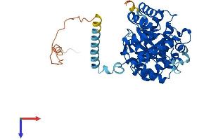 AlphaFold protein structure predicition of Human Recombinant KCNAB1 Protein, UniprotID Q14722