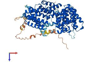 AlphaFold protein structure predicition of Mouse Recombinant Ttc39b Protein, UniprotID Q8BYY4