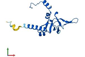 AlphaFold protein structure predicition of Human Recombinant RPL26L1 Protein, UniprotID Q9UNX3