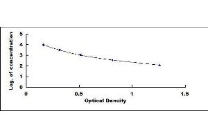 Image no. 1 for MSH alpha ELISA Kit (ABIN5664991)