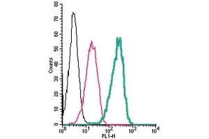 Cell surface detection of GABA(A) δ Receptor by indirect flow cytometry in live intact human THP-1 monocytic leukemia cells: (black line) Cells.