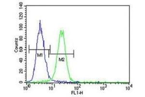 XRCC1 antibody flow cytometric analysis of A375 cells (green) compared to a negative control (blue).