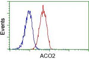 Image no. 2 for anti-Aconitase 2, Mitochondrial (ACO2) antibody (ABIN1496410) (ACO2 anticorps)