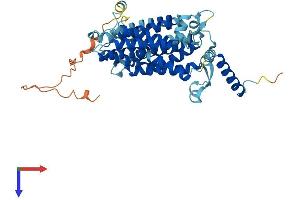 AlphaFold protein structure predicition of Mouse Recombinant Cds2 Protein, UniprotID Q99L43
