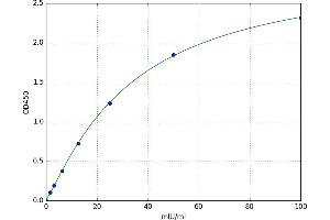 Amylase, alpha 2A (Pancreatic) (AMY2A) ELISA Kit