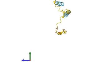 AlphaFold protein structure predicition of Human Recombinant LINC00596 Protein, UniprotID Q86U02