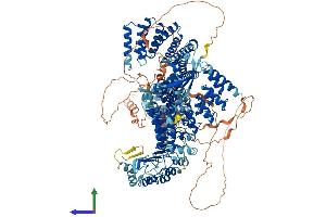 AlphaFold protein structure predicition of Mouse Recombinant Tonsl Protein, UniprotID Q6NZL6