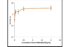 Activity Assay (AcA) image for Midkine (Neurite Growth-Promoting Factor 2) (MDK) (Active) protein (ABIN5509432)