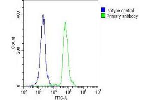 Overlay histogram showing THP-1 cells stained with Antibody (green line). (MDM2 anticorps  (AA 141-176))