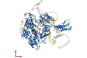 AlphaFold protein structure predicition of Mouse Recombinant Pola1 Protein, UniprotID P33609