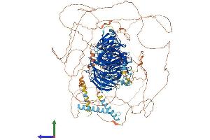 AlphaFold protein structure predicition of Mouse Recombinant Mapkbp1 Protein, UniprotID Q6NS57
