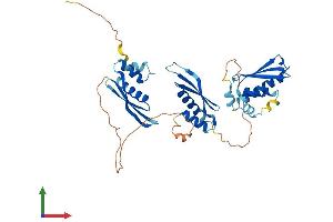 AlphaFold protein structure predicition of Human Recombinant TARBP2 Protein, UniprotID Q15633