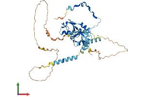 AlphaFold protein structure predicition of Human Recombinant RING1 Protein, UniprotID Q06587