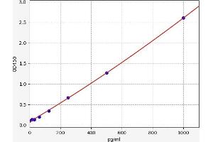 Typical standard curve (CCL5 Kit ELISA)