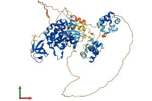 AlphaFold protein structure predicition of Human Recombinant TNK1 Protein, UniprotID Q13470