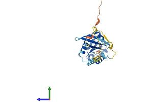 AlphaFold protein structure predicition of Human Recombinant RABL2B Protein, UniprotID Q9UNT1
