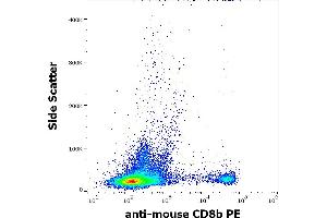 Flow cytometry surface staining pattern of murine splenocyte suspension stained using anti-mouse CD8b (H35-17. (CD8B anticorps  (PE))