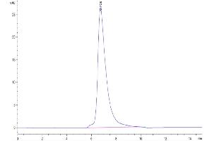 The purity of Cynomolgus TNFR2 is greater than 95 % as determined by SEC-HPLC.